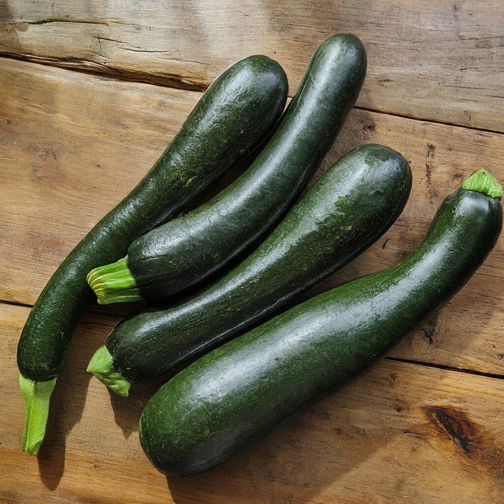 Zucchini- Black Beauty